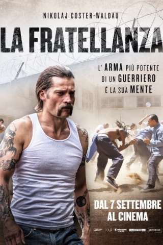 La Fratellanza (2017) streaming