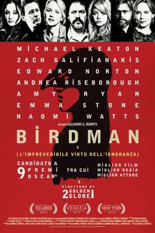 Birdman (2014) streaming