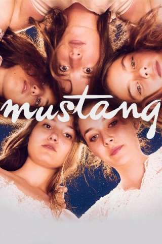 Mustang (2015) streaming