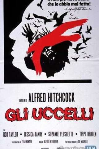 Gli uccelli (1963) streaming