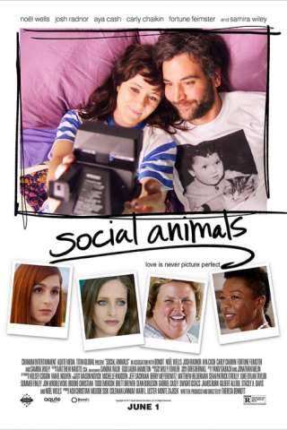 Social Animals (2018) streaming