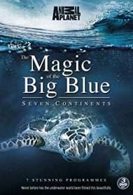 The Magic of The Big Blue (2013) streaming