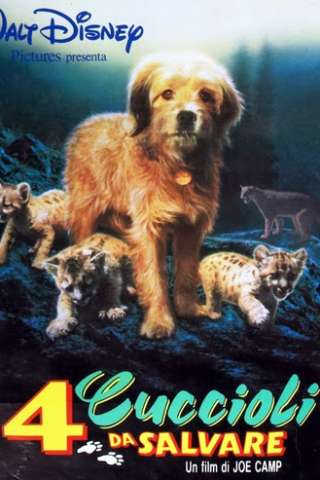 4 cuccioli da salvare (1987) streaming
