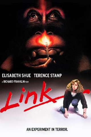 Link (1986) streaming