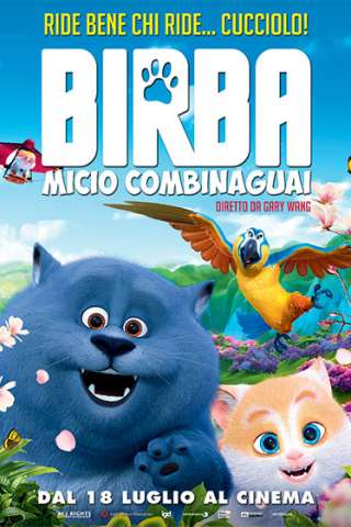 Birba - Micio combinaguai (2018) streaming