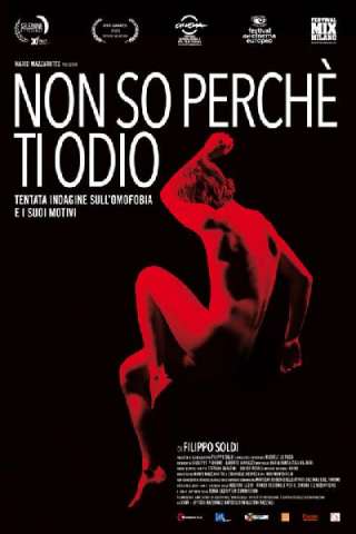 Non so perchè ti odio (2014) streaming