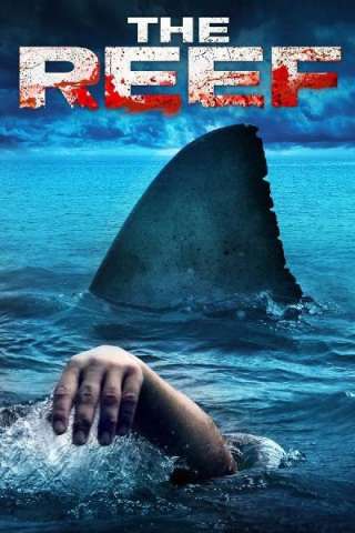 The reef (2010) streaming