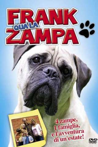Frank qua la zampa (2007) streaming