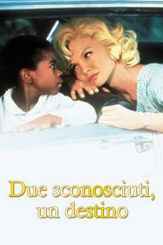 Due sconosciuti, un destino (1992) streaming