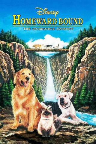 In fuga a quattro zampe (1993) streaming