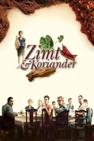 Un tocco di zenzero (2003) streaming