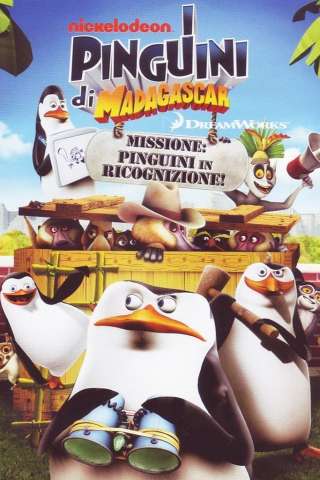 I pinguini di Madagascar - Missione: pinguini in ricognizione (2011) streaming