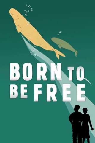 Born to Be Free (2017) streaming