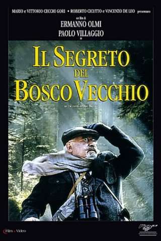 Il segreto del bosco vecchio (1993) streaming