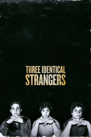 Three Identical Strangers (2018) streaming