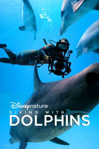Il mondo nascosto dei delfini (2020) streaming