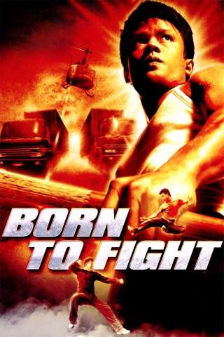 Born to fight - Nati per combattere (2004) streaming