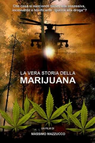 La vera storia della marijuana (2010) streaming