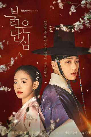 Bloody Heart (2022 - In Lavorazione) streaming