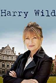 Harry Wild (2022) (2022 - In Lavorazione) streaming