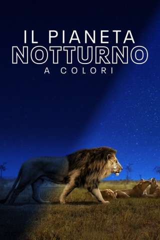 Il pianeta notturno a colori (2020 -) streaming